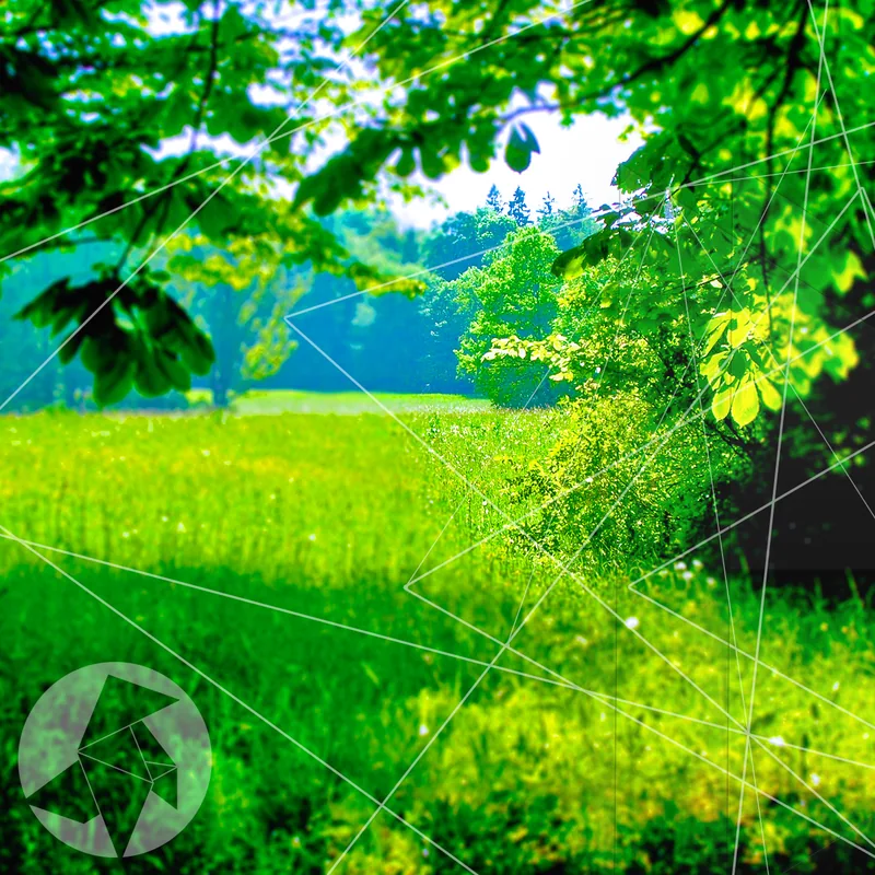 Cover: Kokolores - Summer Pumping Trompets