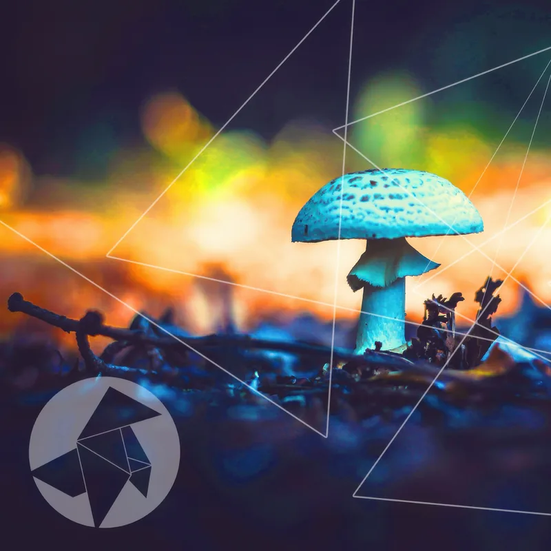 Cover: kokolores podcast - Podcast Mix 2.24